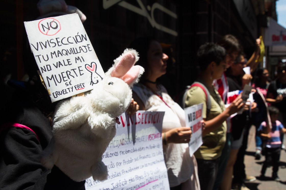 pruebas-cosmeticos-animales-prohibicion-diputados