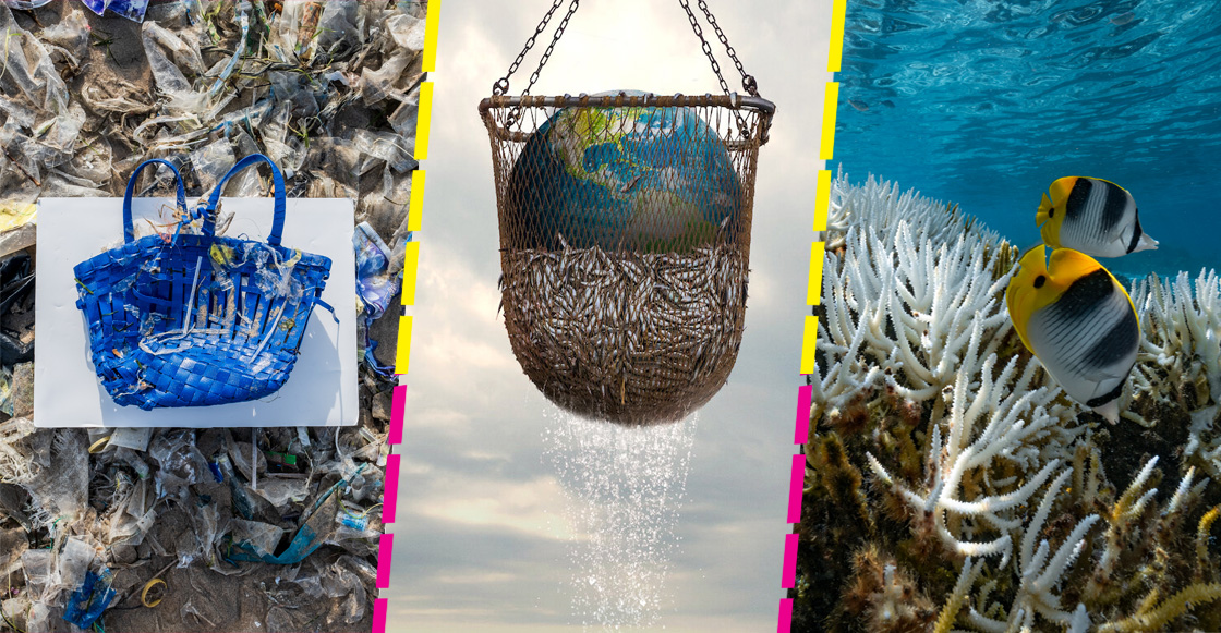 ¿Qué tanto es verdad (o mentira) de lo que se dice en 'Seaspiracy'?