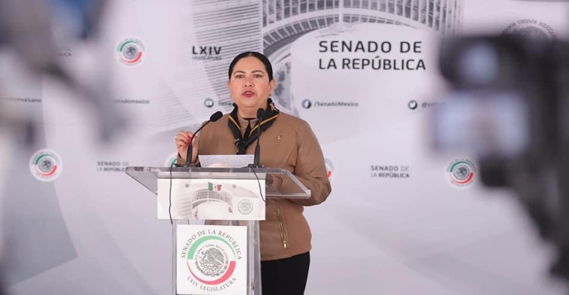 senadora-baja-california-renuncia-morena