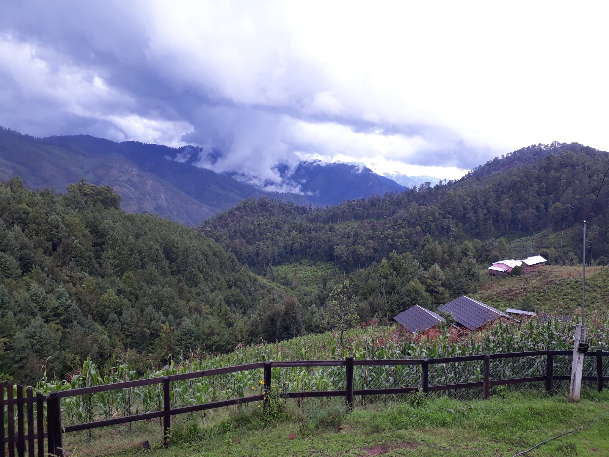 sierra de guerrero asesinato de Marqués Oyorzábal