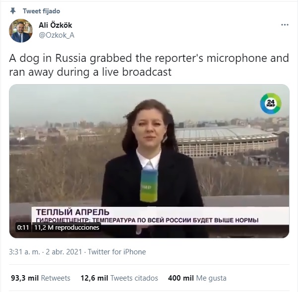 ¡Can-alla! Perrito se roba micrófono de reportera durante noticiero en vivo
