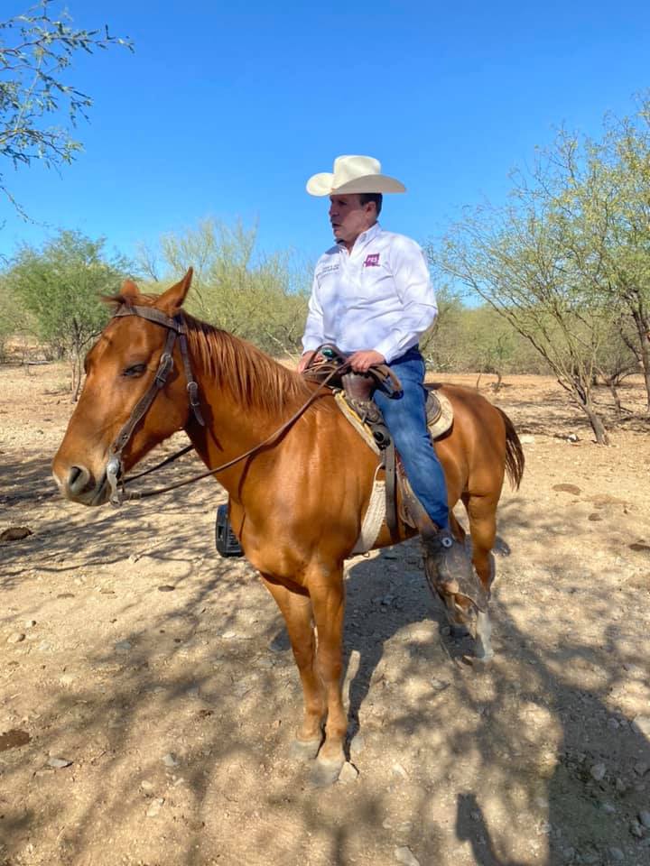 zatarain-candidato-sonora