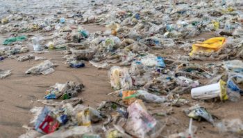 basura-plastico-empresas-mas-tiran-contaminantes-mundo-un-solo-uso-2021