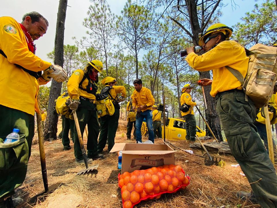 brigadas-uruapan-viveres