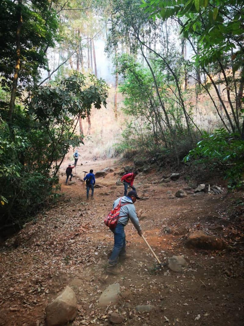 brigadistas-michoacan