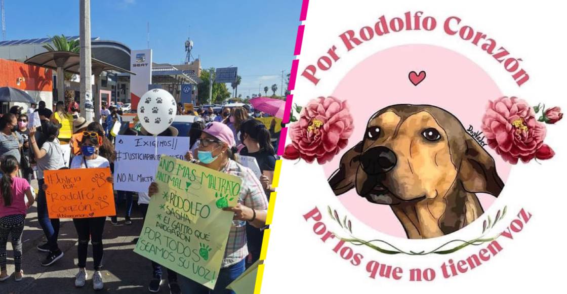 Liberan a joven acusado de matar al perrito ‘Rodolfo Corazón’; estuvo preso 11 días