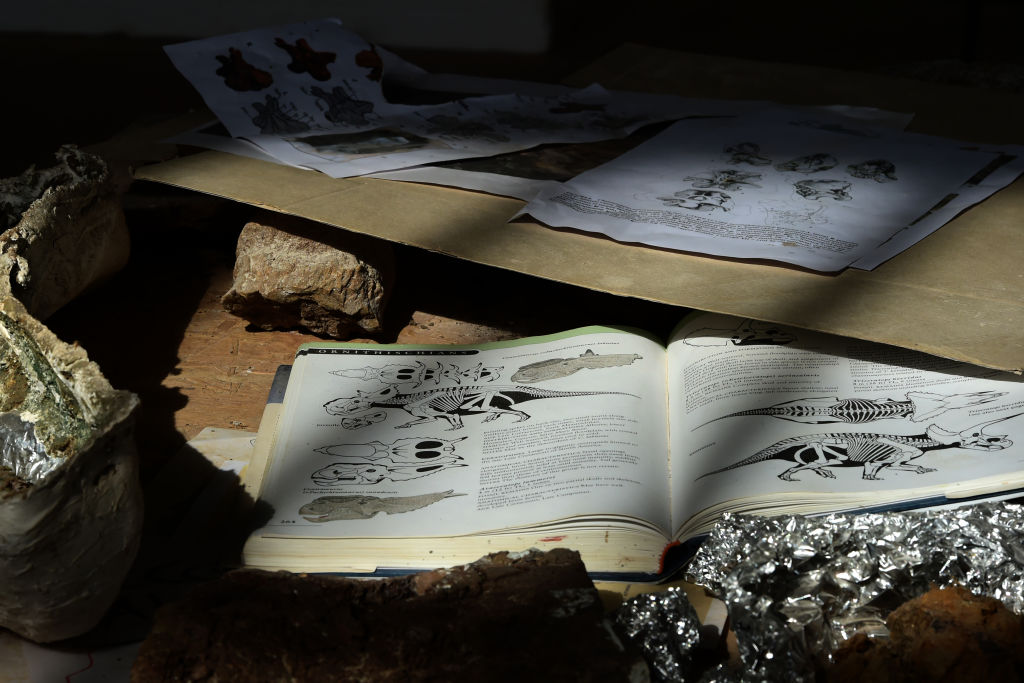 dinosaurios-especies