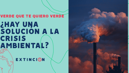 extincion-hay-una-solucion-a-la-crisis-ambiental