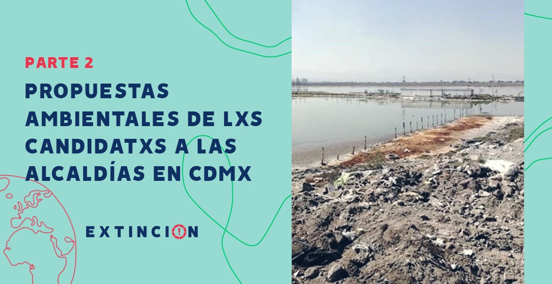 extincion-propuestas-ambientales-cdmx-parte-2