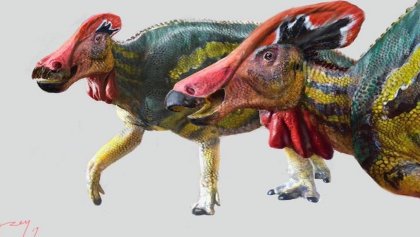 inah-dinosaurio-nueva-especie