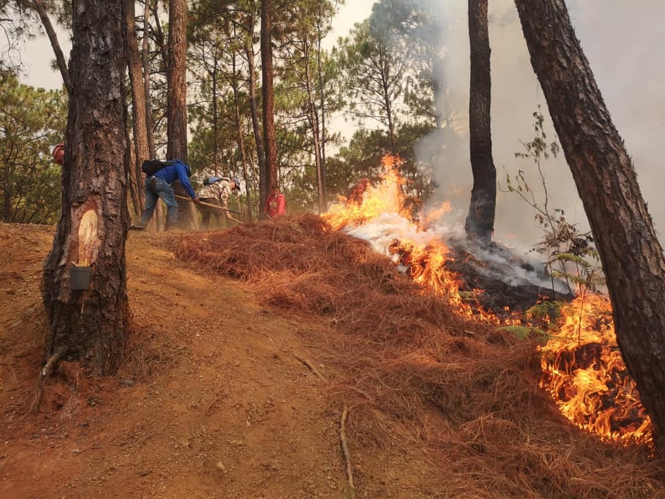 incendio-forestal-cerro-cruz