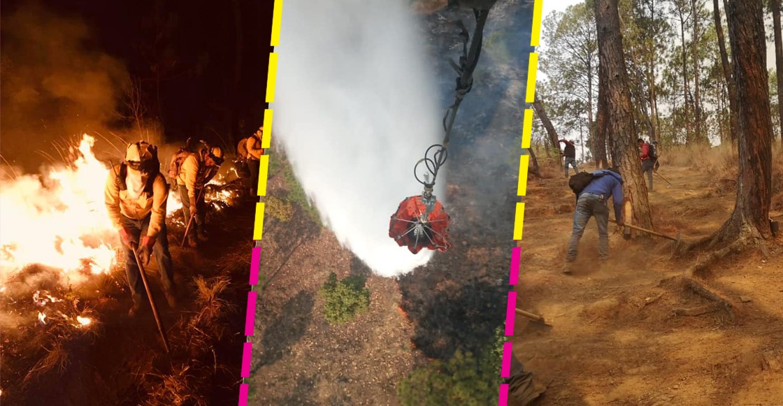 incendio-uruapan-cerro-cruz-brigadistas