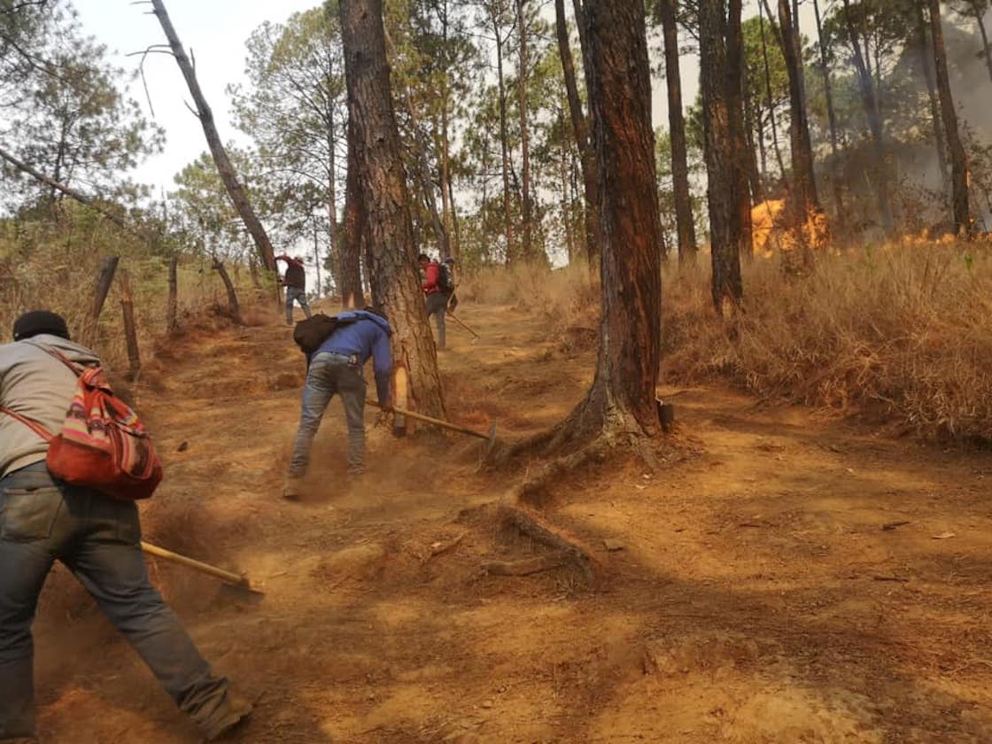 incendio-uruapan-michoacan-brigadistas
