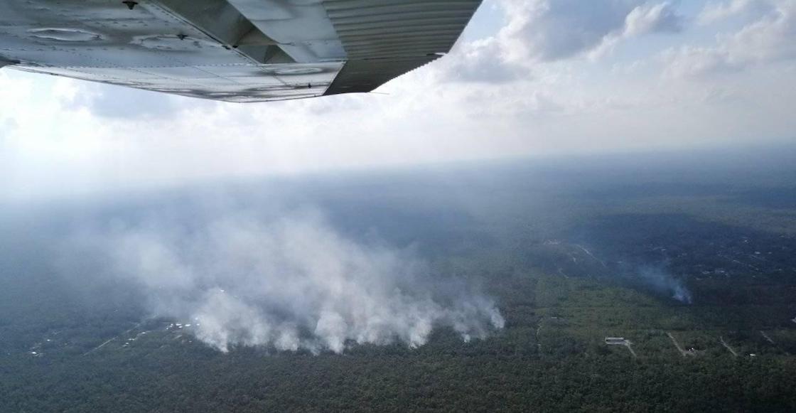 incendios-playa-carmen-vida-silvestre