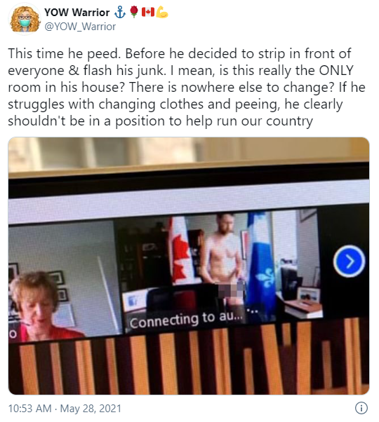 Legislador de Canadá orina en plena sesión virtual; ya renunció a sus funciones