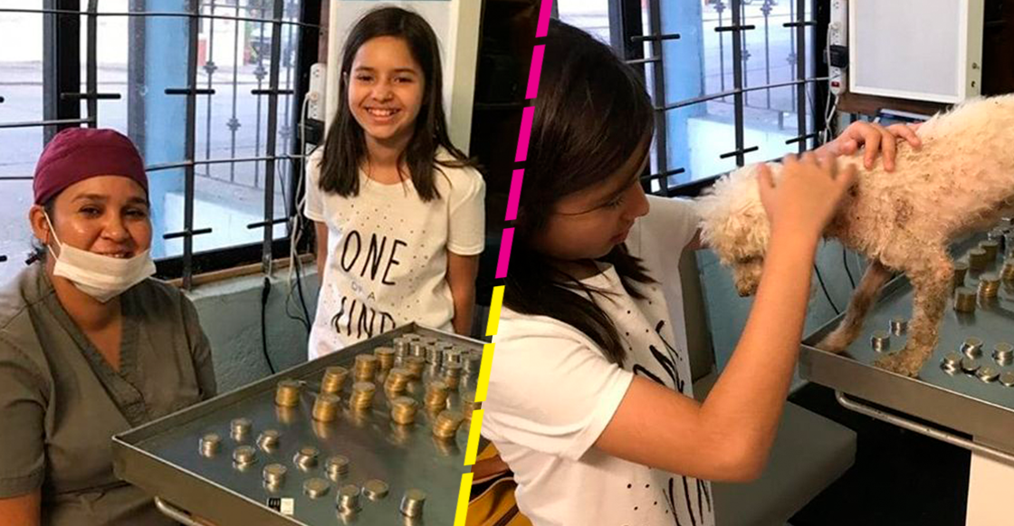 Niña donó sus ahorros para salvar a una perrita callejera y terminó adoptándola