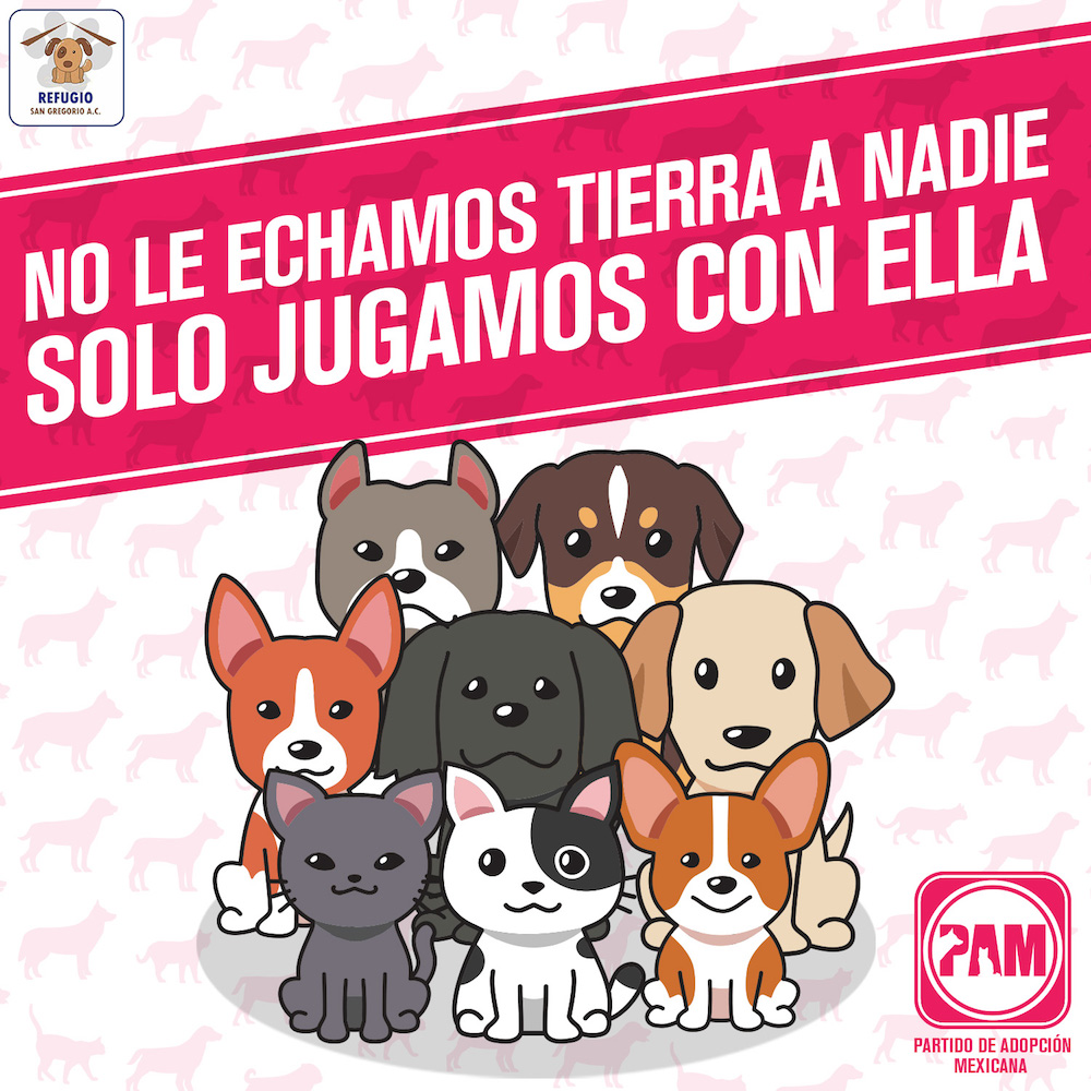 partido-adopcion-mexicana-pam-iniciativa-candidatos-perros-adoptar-refugio-san-gregorio-elecciones-01