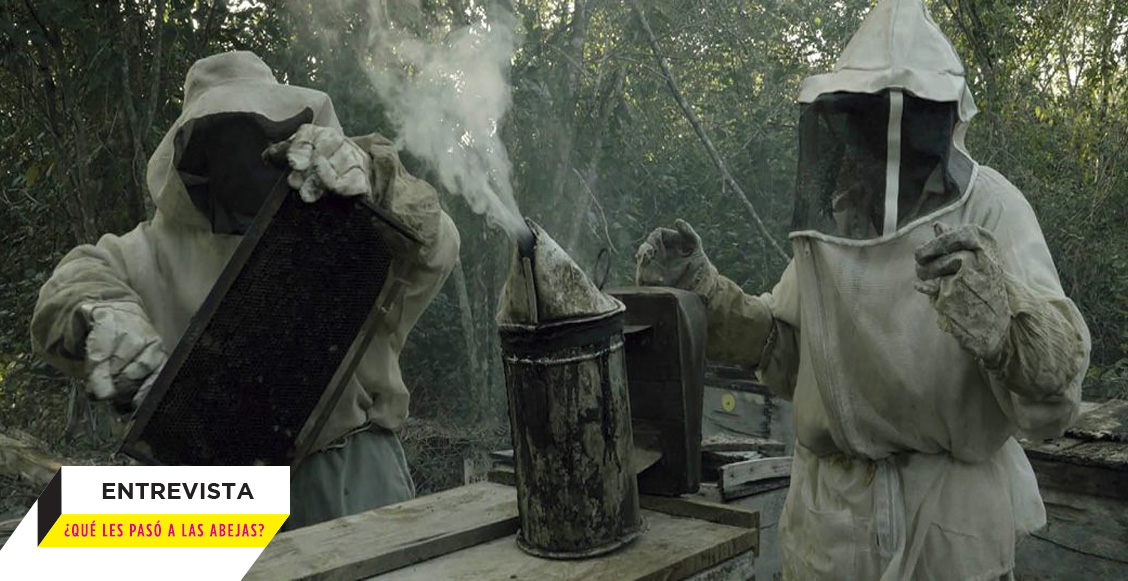 Es nuestro problema: Una entrevista por el documental '¿Qué les pasó a las abejas?'