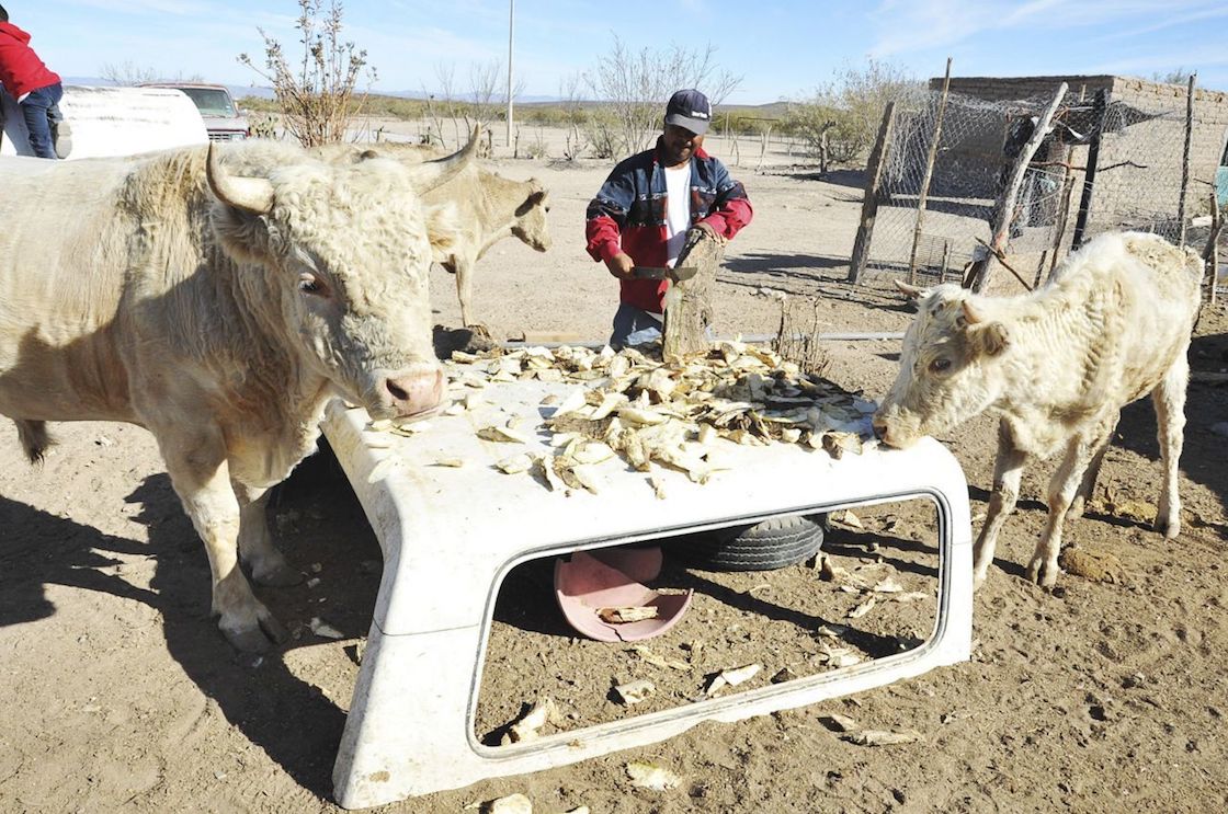 sequia-declaratoria-emergencia-durango