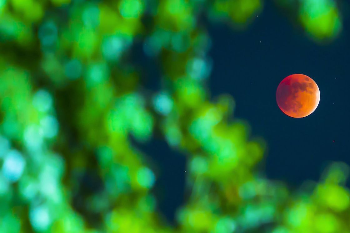 superluna-eclipse-lunar