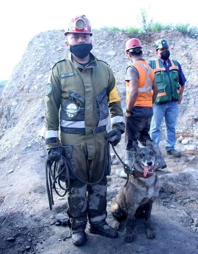 binomios-caninos-coahuila