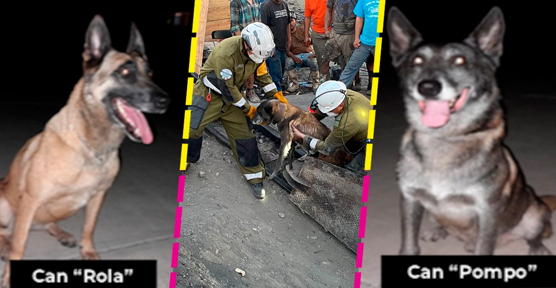 binomios-caninos-rola-pompo-muzquiz