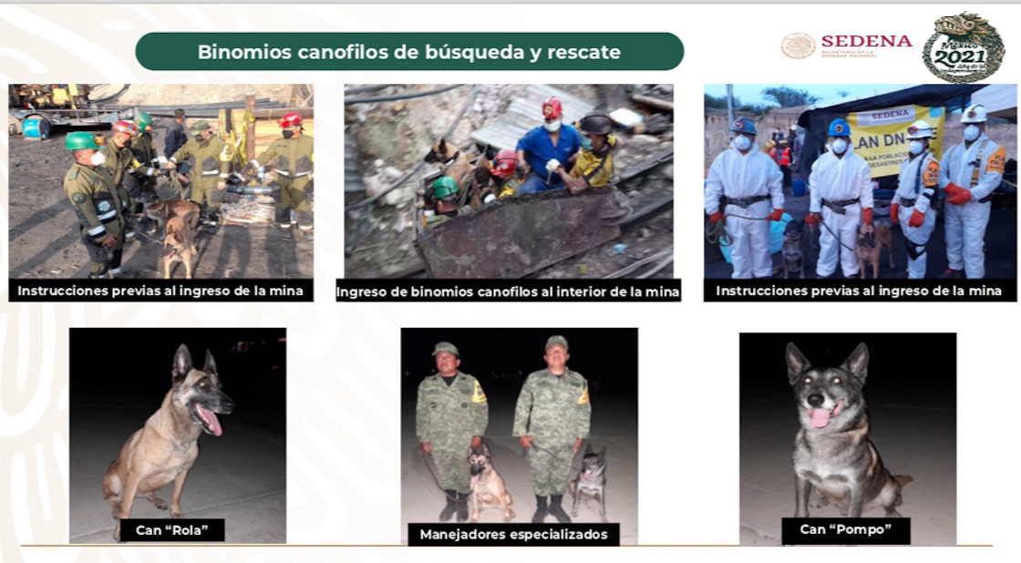  binomios-caninos-rola-pompo-rescate-muzquiz