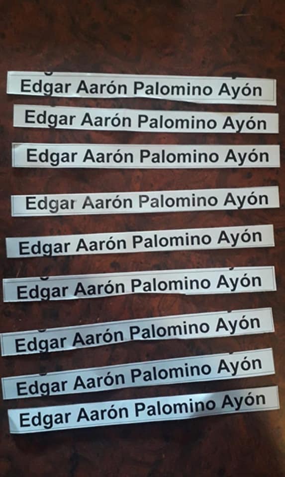 campaña-candidato-edgar-palomino