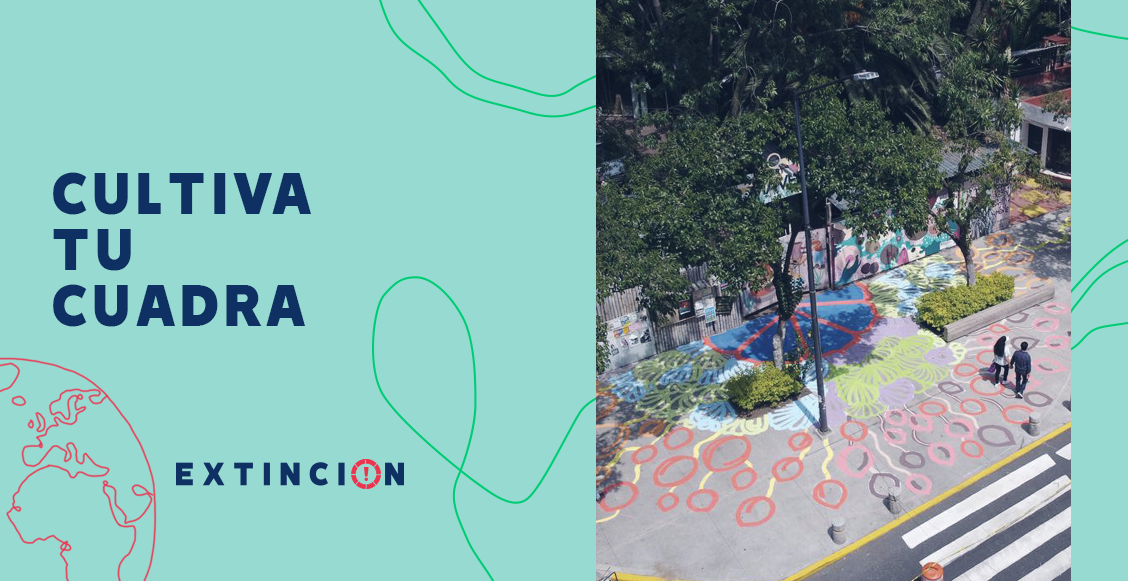 extincion-cultiva-tu-cuadra-cdmx