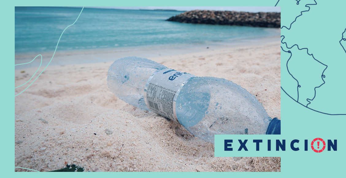 extincion-oceanos-comienzan-en-casa