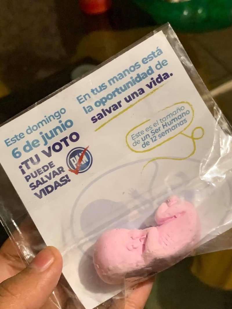 fetos-pan-jalisco-guadalajara