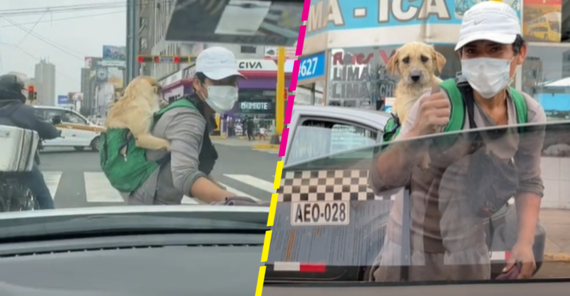 Awww: Joven sale a trabajar con su perrito en la espalda y se vuelve viral