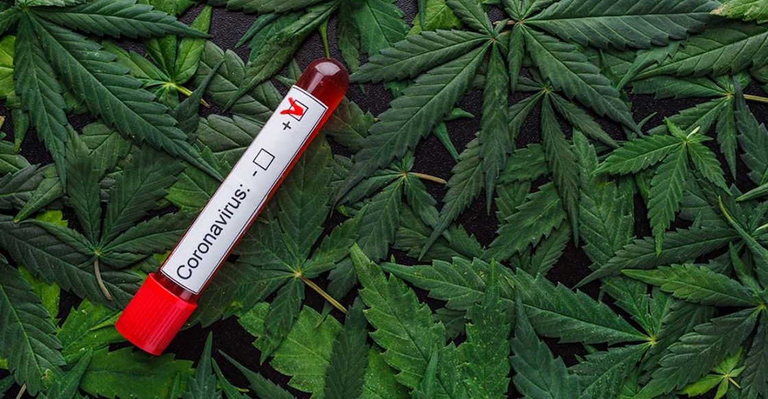 vacuna-covid-marihuana-estados-unidos