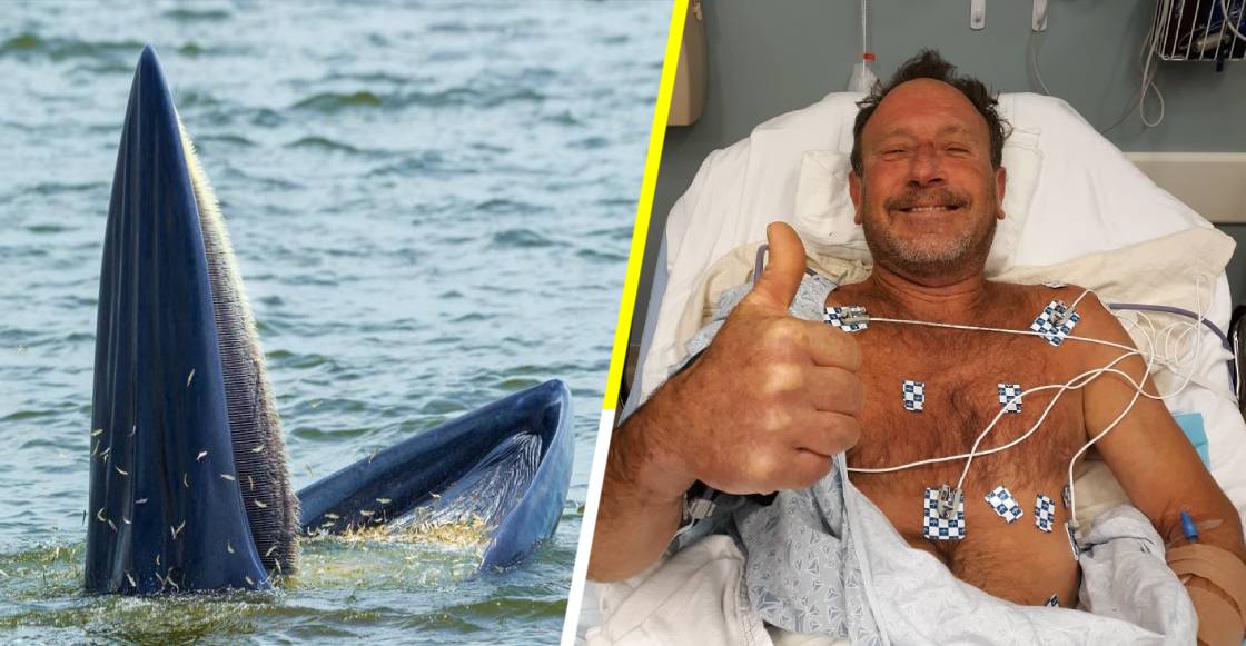 Michael Packard: El pescador que fue tragado por una ballena y vivió para contarlo