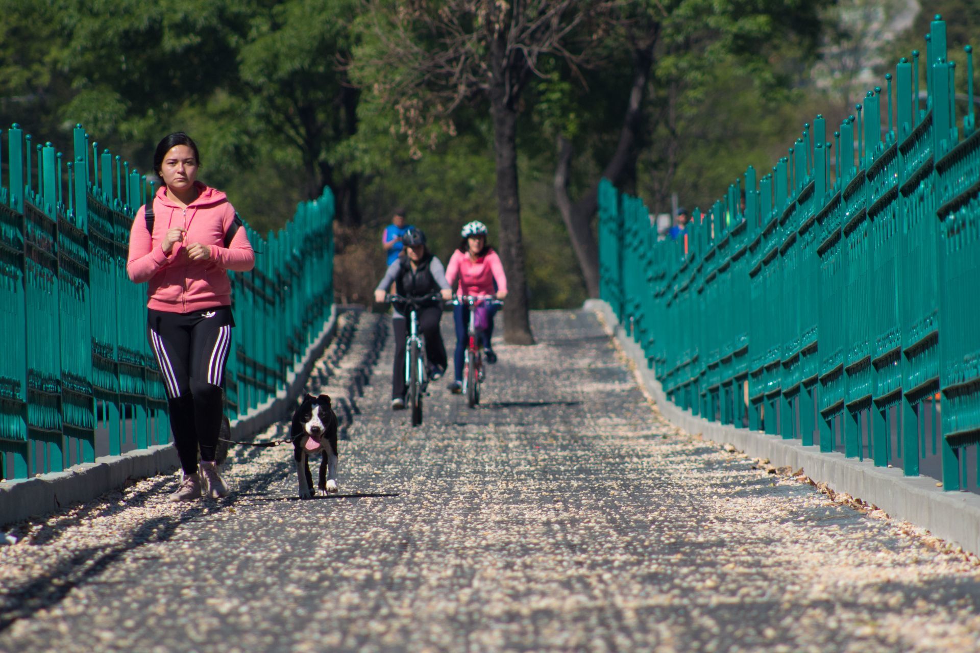 paseo-dominal-muevete-bici