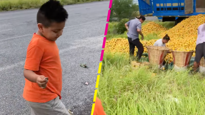 "Para qué robar": Niño pide comprar naranjas mientras los demás se las llevaban