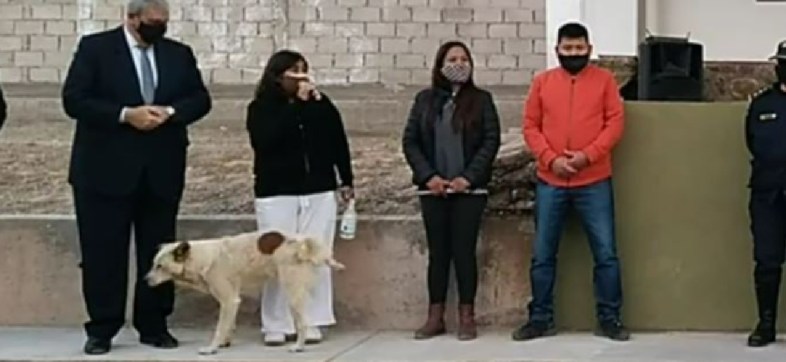Un perrito orinó a una presidenta municipal de Argentina en pleno discurso