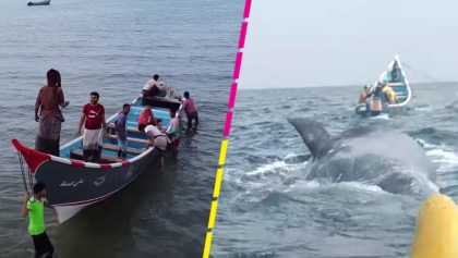 Pescadores encuentran 'tesoro millonario' en una ballena en Yemen