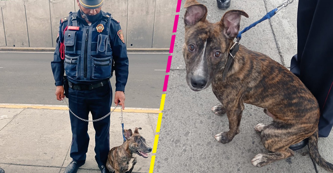 policia-adopta-perrito-cdmx