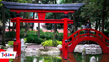Plan de fin de semana: 5 lugares para sentirte en Japón dentro de la CDMX