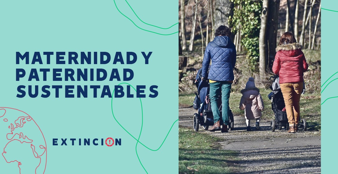 maternidades sustentables