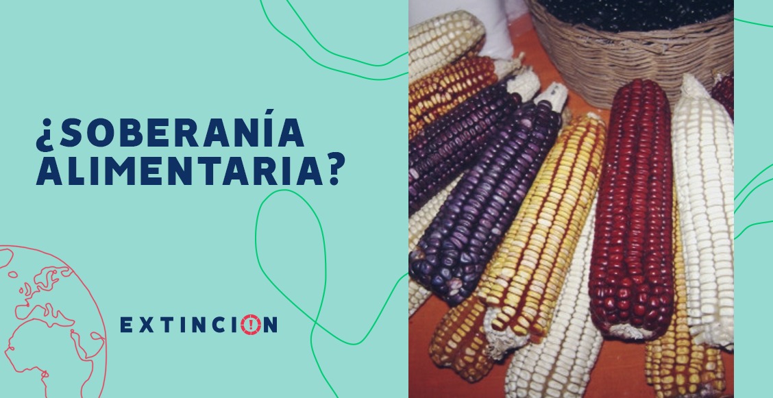 soberanía alimentaria México