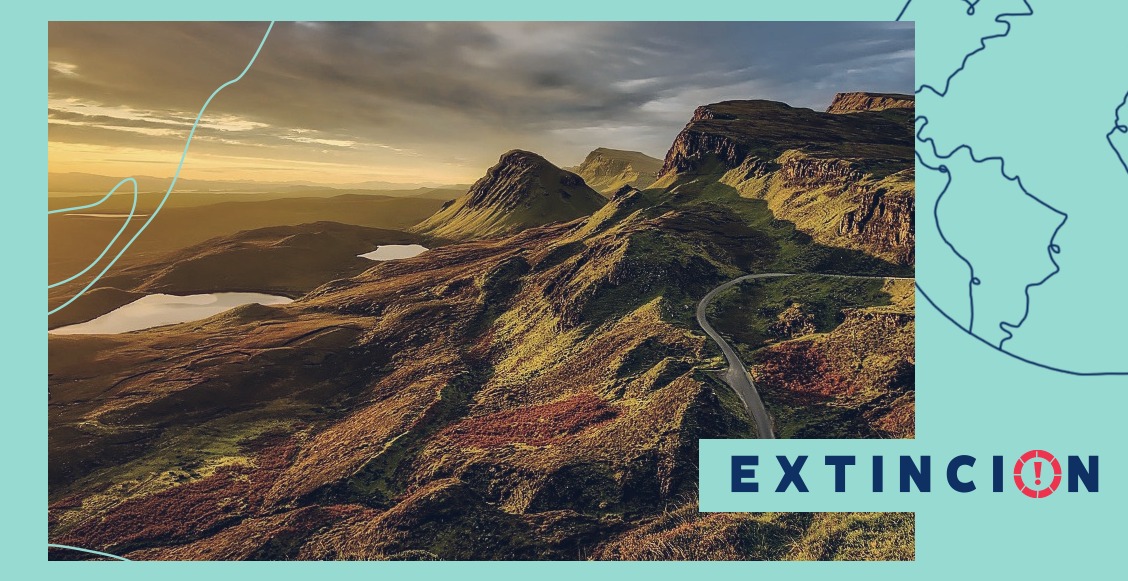 desarrollo sostenible