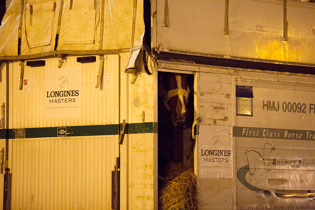 Caballos transportados para competencias ecuestres