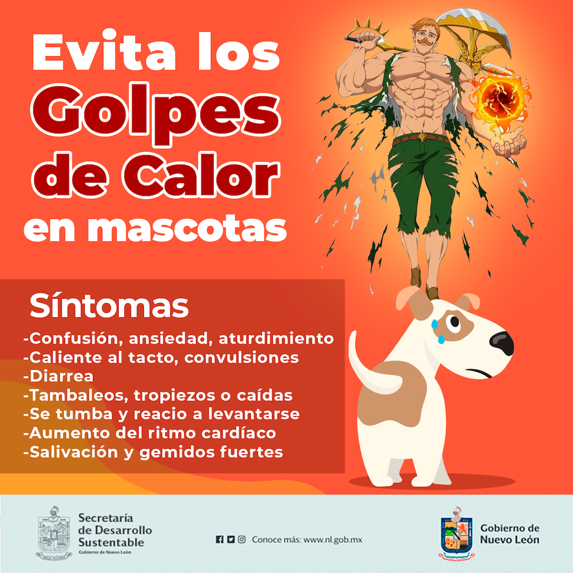 campaña-kawaii-nuevo-leon-escarnor