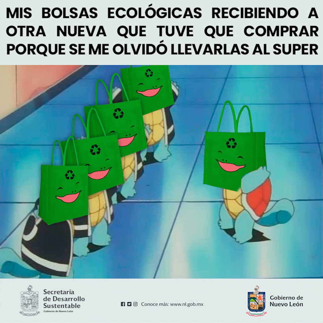 campaña-kawaii-nuevo-leon-squirtle