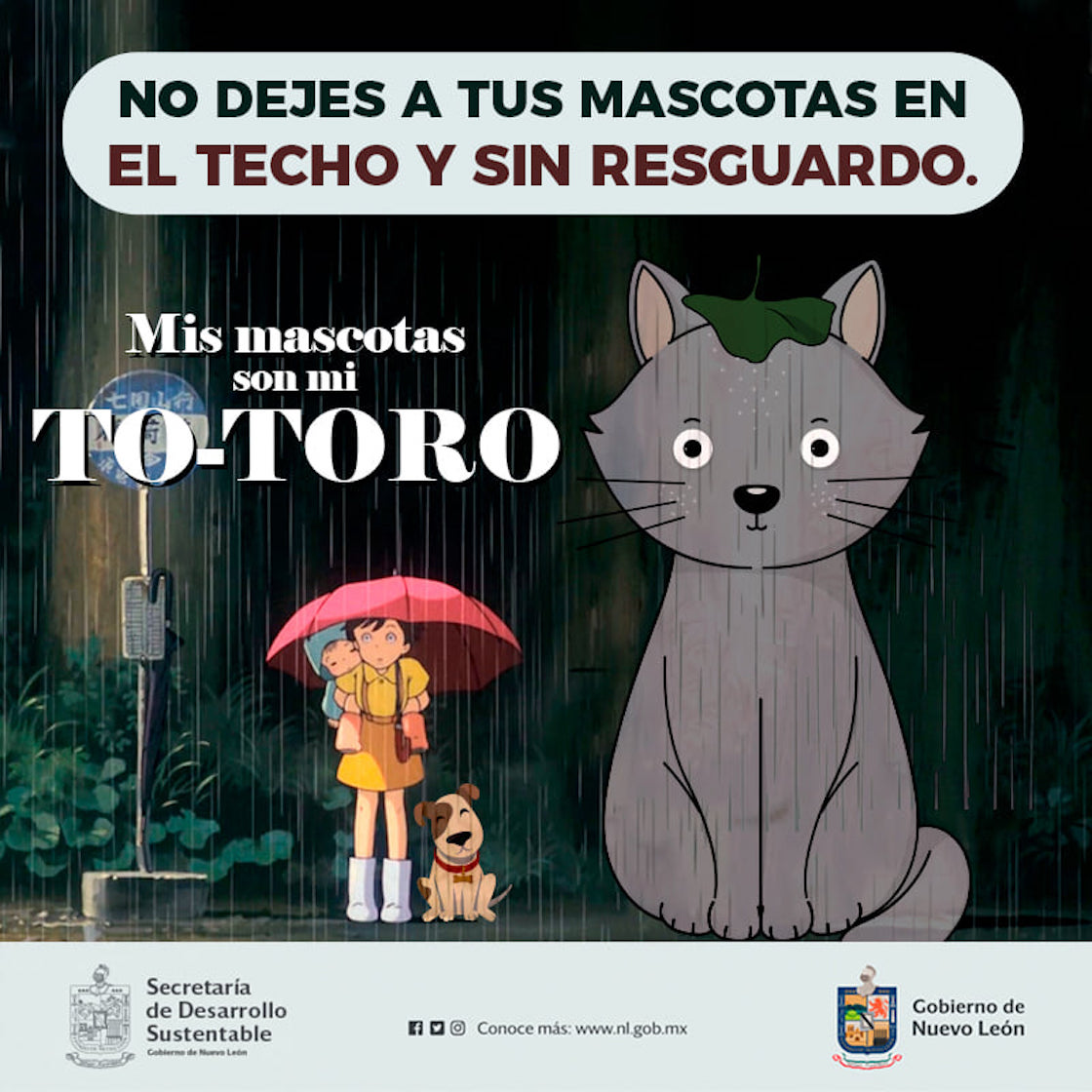 campañas-kawaii-nuevo-leon-totoro