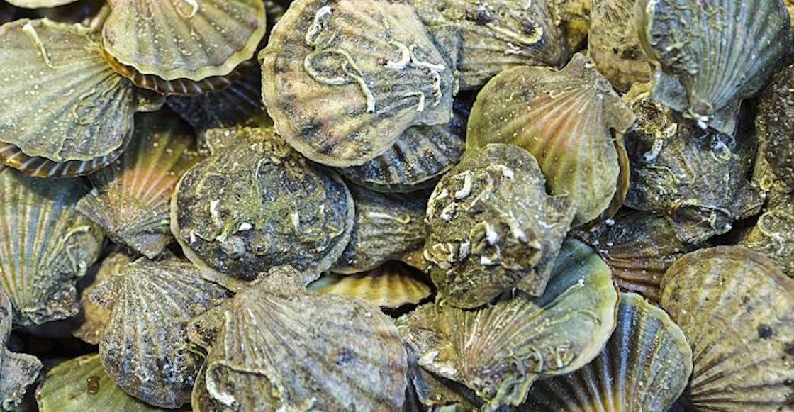 canada-ola-calor-mar