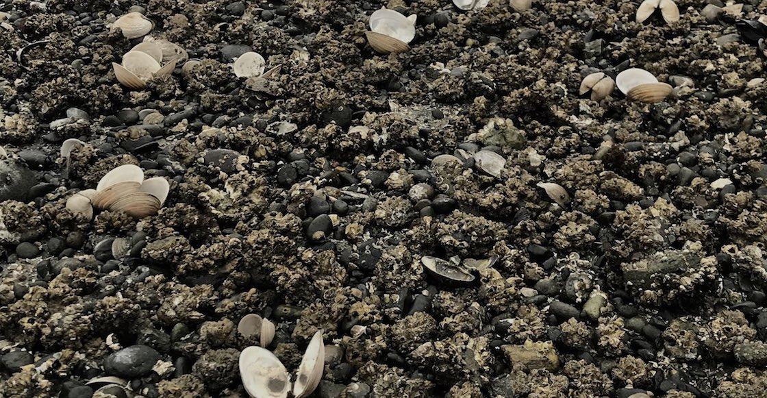 canada-ola-de-calor-temperaturas