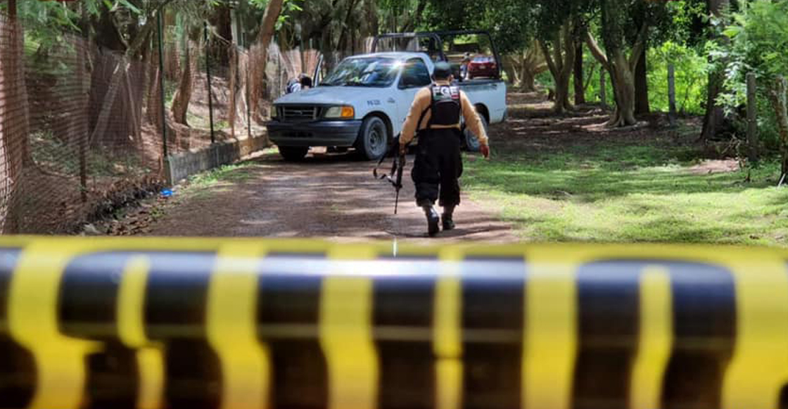 cuerpos-enfermera-odontologo-guerrero